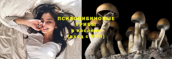 круглые Медвежьегорск