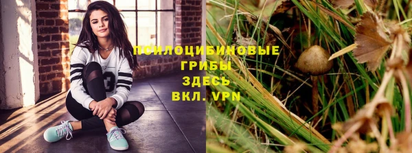 ГАЛЛЮЦИНОГЕННЫЕ ГРИБЫ Медногорск