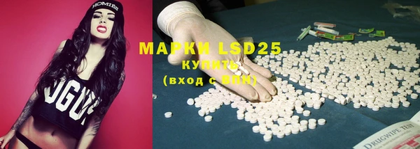 твердый Михайлов